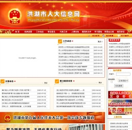 洪湖市人大信息网