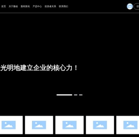 上海雅创电子集团股份有限公司