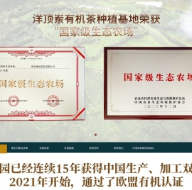 南靖洋顶岽茶业有限公司