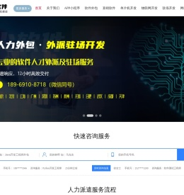 顶尖软件开发技术公司