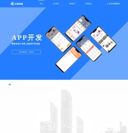 临沂软件开发公司