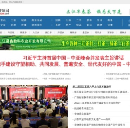 三江城镇网
