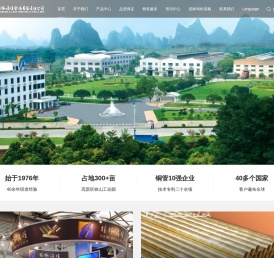 桂林漓佳金属有限责任公司