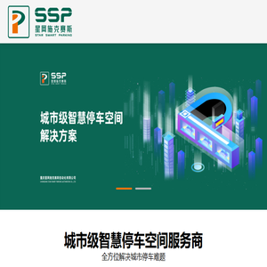 重庆星网施克赛斯自动化有限公司