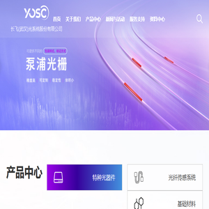 长飞光系统股份有限公司