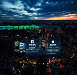 上海意幽科技发展有限公司