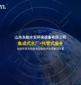 山东东能