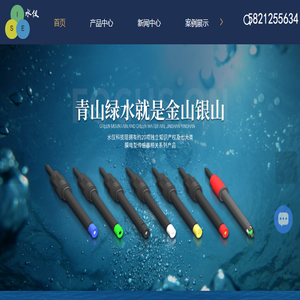 离子电极