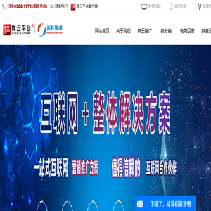 西安全网优化