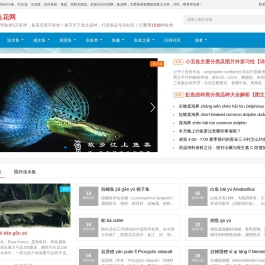 鱼种分类及图片