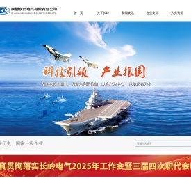 陕西长岭电气有限责任公司