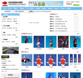 中国锦鲤鱼养殖网,锦鲤
