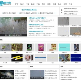 酷钓鱼