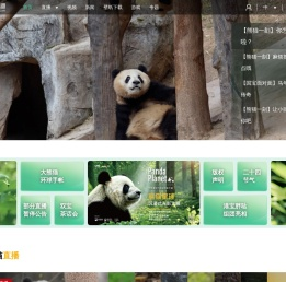 熊猫频道