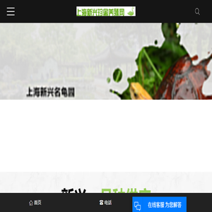 百色龟