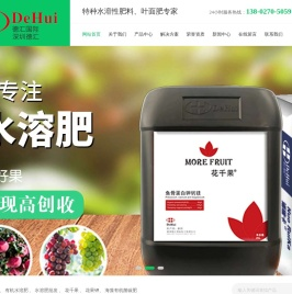 深圳德汇进出口贸易有限公司