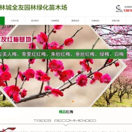 浙江红梅批发供应商
