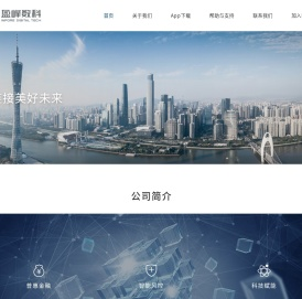 广东盈峰普惠互联小额贷款股份有限公司