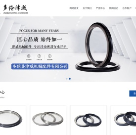浮动油封丨浮动密封环丨多伦县津威工矿机械配件有限公司