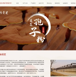 灵芝孢子粉禁忌