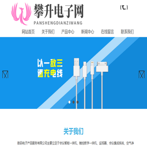 攀升电子网