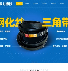 河南双力橡胶股份有限公司