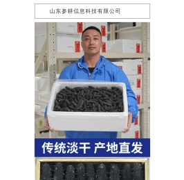 正宗的大连天然辽刺参