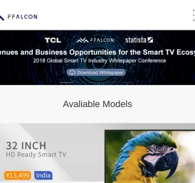 深圳市雷鸟网络科技有限公司