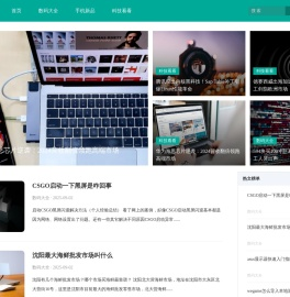 新品猫