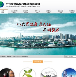 广东密特斯科技集团有限公司