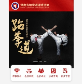 湖南省跆拳道运动协会