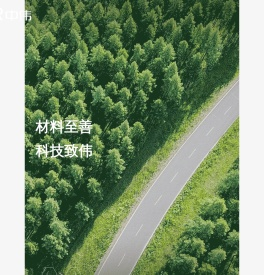 中伟新材料股份有限公司