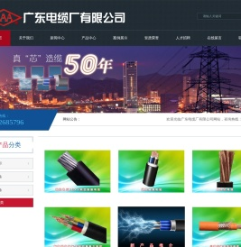 广东电缆