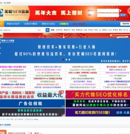 最新黑帽SEO技术,黑帽SEO优化,黑帽SEO培训学习论坛