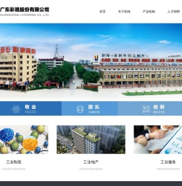 广东彩艳股份有限公司