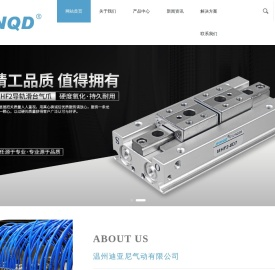 温州迪亚尼气动有限公司