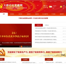 大桥石化党建网站