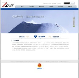 上海奇想青晨新材料科技股份有限公司