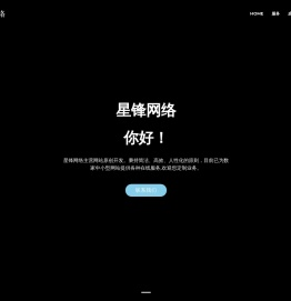 星锋网络官网