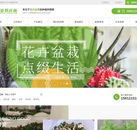 花卉盆景供应商