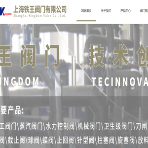 铁王阀门