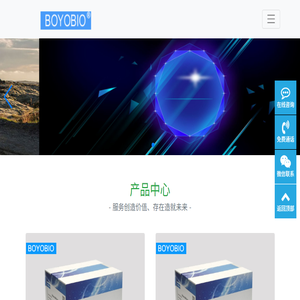 博尔优