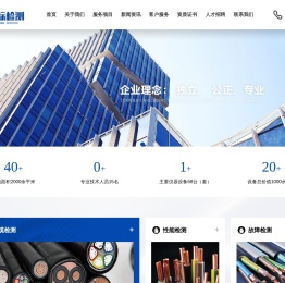 山东蓝标检测科技有限公司