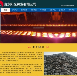 山东阳光铸业有限公司