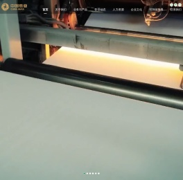 中国纸业投资有限公司