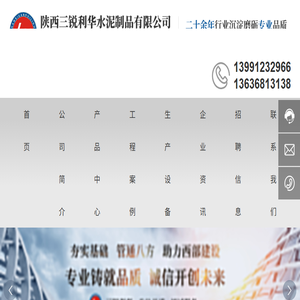 晴天下的熊