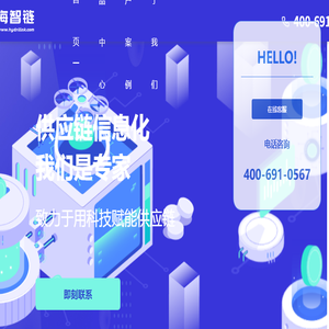 海智链供应链信息化解决方案专家