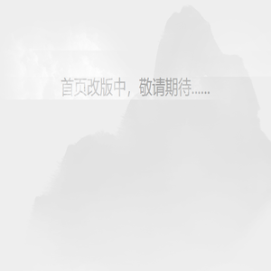 中国消费网