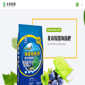 北农联盟