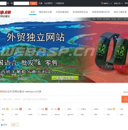 跨境电商独立站